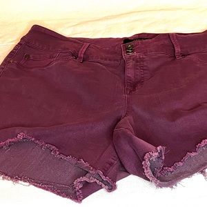 Cute Torrid Maroon Denim Shorts